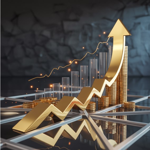 tráfego pago em Novo Hamburgo